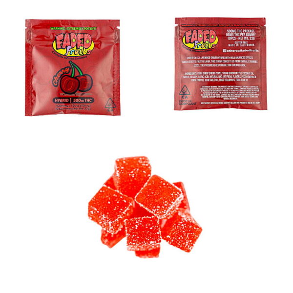Faded Fruits Infused Gummies 500 MG - Image 3
