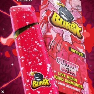 BURST GUMMY-BEAR DISPOSABLE