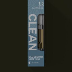 1G BLUEBERRY YUM YUM CLEAN CARTS