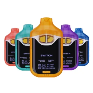 BOUTIQ SWITCH V4